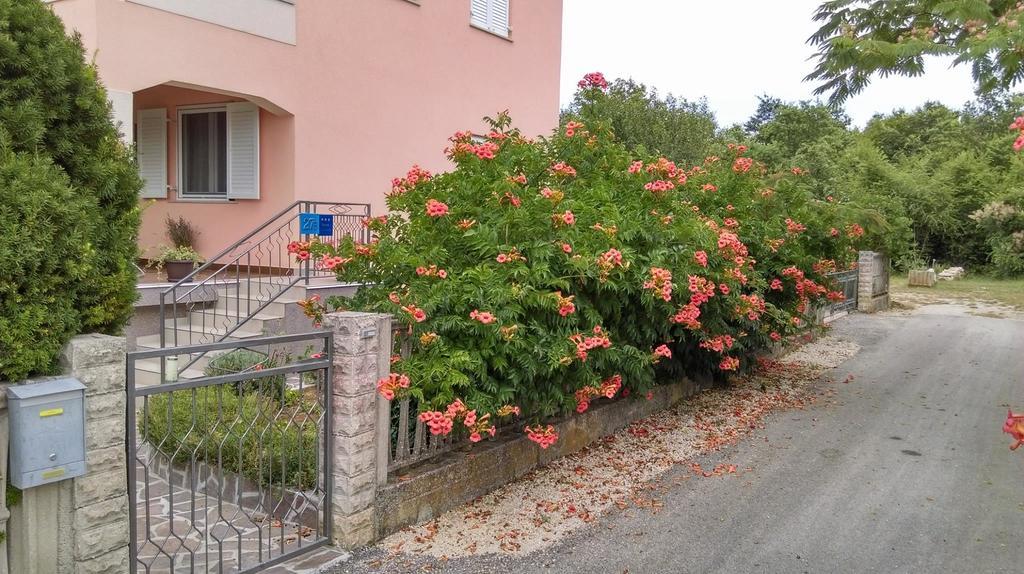 Rina Apartments Labin  Exterior foto